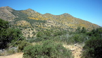 photo thumbnail #1