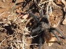 photo thumbnail #12