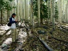 photo thumbnail #5
