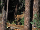 photo thumbnail #7