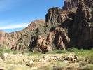 photo thumbnail #14