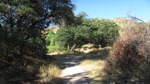 photo thumbnail #1