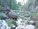 photo thumbnail #4