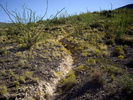 photo thumbnail #7