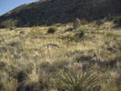 photo thumbnail #10