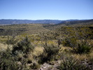photo thumbnail #14