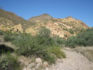 photo thumbnail #8