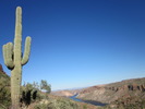 photo thumbnail #8