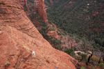 photo thumbnail #1