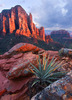 photo thumbnail #3
