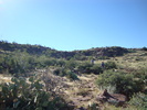 photo thumbnail #7