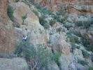 photo thumbnail #13