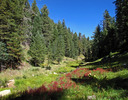photo thumbnail #7