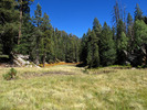 photo thumbnail #9