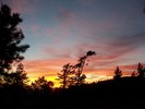 photo thumbnail #14