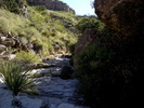 photo thumbnail #15