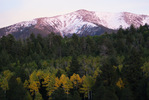 photo thumbnail #12
