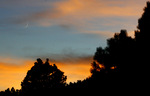 photo thumbnail #13