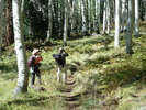 photo thumbnail #7