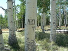 photo thumbnail #8