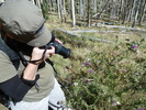 photo thumbnail #11