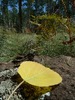 photo thumbnail #12