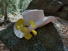 photo thumbnail #14