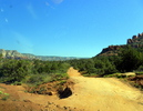 photo thumbnail #1