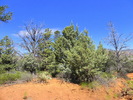 photo thumbnail #4