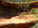 photo thumbnail #8