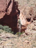photo thumbnail #3