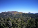 photo thumbnail #10