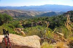 photo thumbnail #2