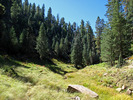 photo thumbnail #11