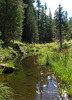 photo thumbnail #15