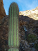 photo thumbnail #12