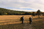 photo thumbnail #1