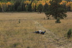 photo thumbnail #3