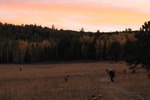 photo thumbnail #8