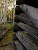 photo thumbnail #2
