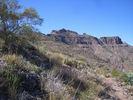 recent photo
