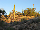 photo thumbnail #3