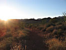photo thumbnail #5