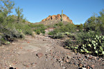 photo thumbnail #9