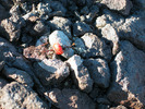 photo thumbnail #10