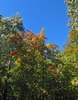 photo thumbnail #5