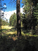 photo thumbnail #14