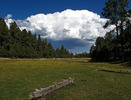 photo thumbnail #15