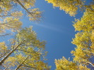 photo thumbnail #14
