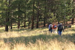 photo thumbnail #1